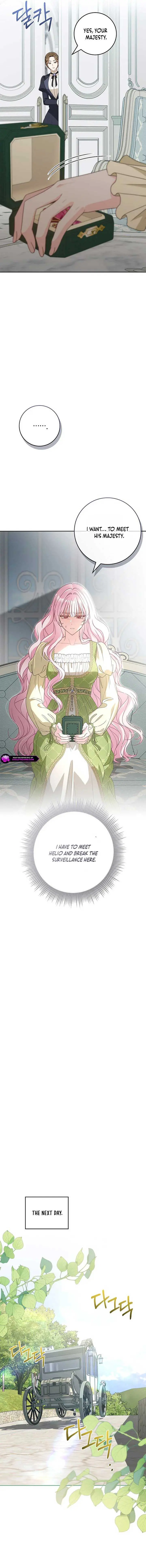 Must the Reincarnated Mother Always Die? Chapter 39 page 8 - 