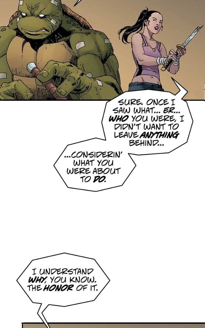 Mutant Turtles 3 Chapter 10 page 17 - 