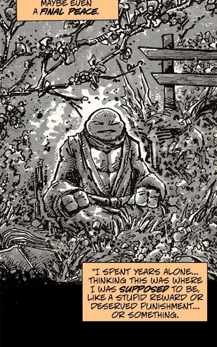 Mutant Turtles 3 Chapter 10 page 29 - 