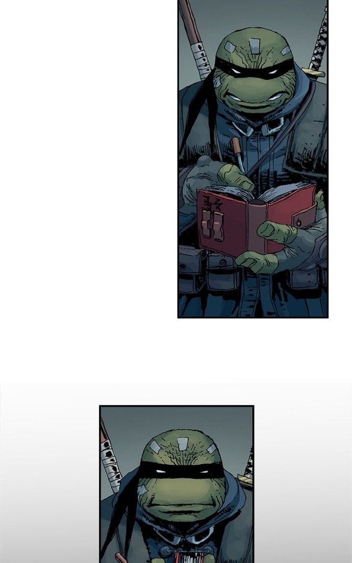 Mutant Turtles 3 Chapter 19 page 17 - 