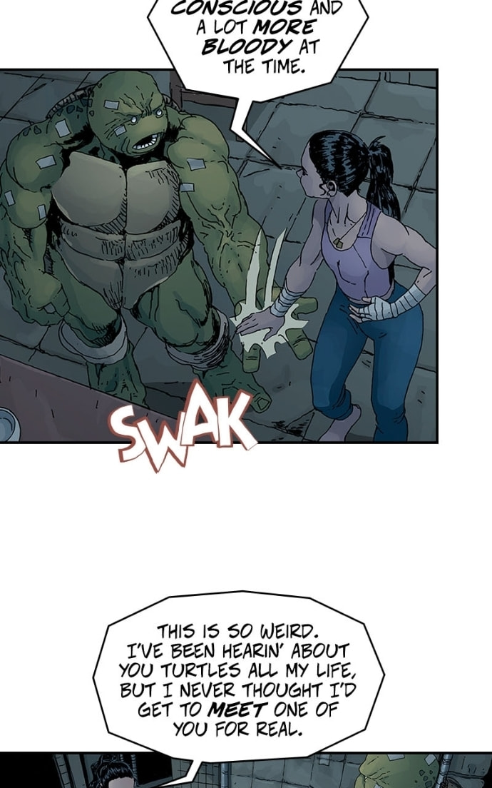 Mutant Turtles 3 Chapter 9 page 41 - 