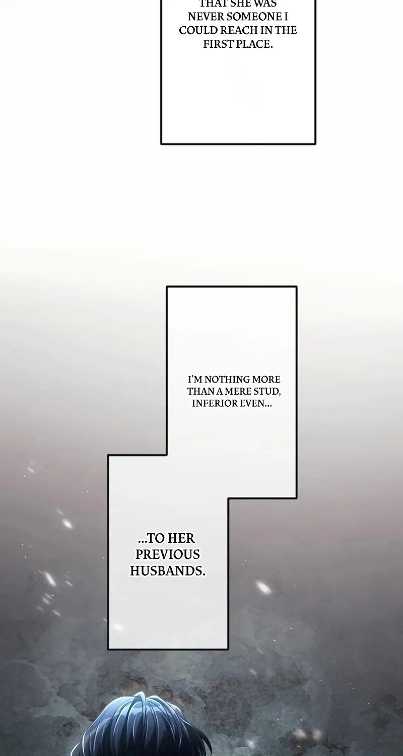 My 5th Political Marriage With You Who Hates Me Chapter 32 page 47 - 