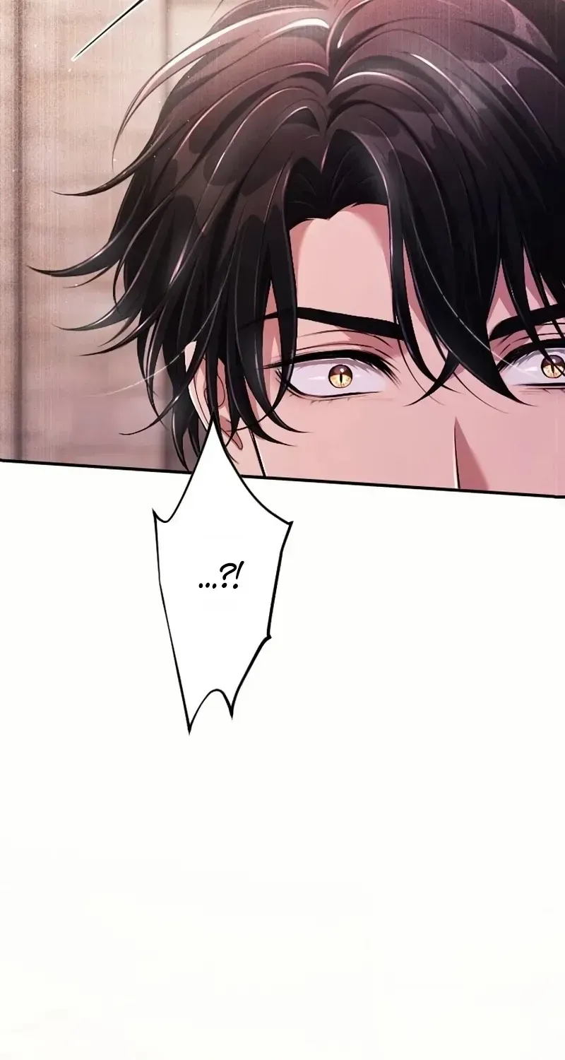 My 5th Political Marriage With You Who Hates Me Chapter 36 page 67 - 