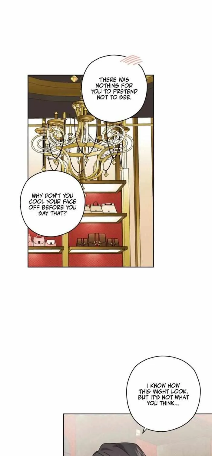 My Anonymous Benefactor Chapter 31 page 33 - 