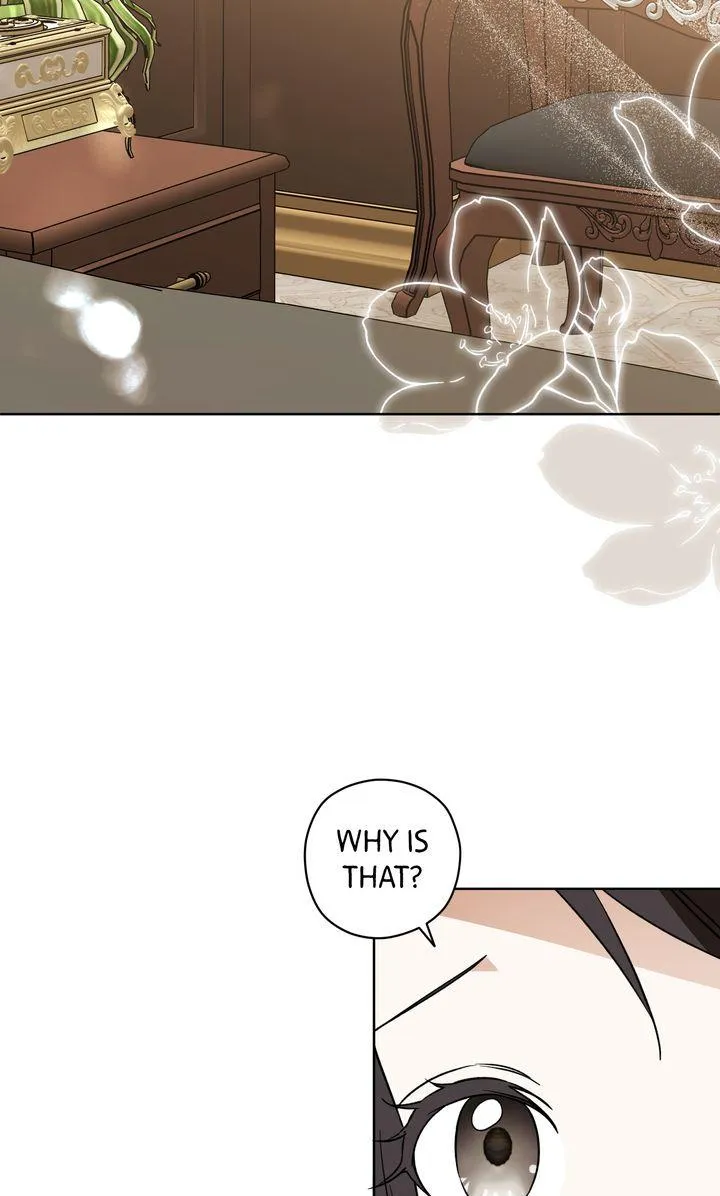 My Anonymous Benefactor Chapter 45 page 3 - 