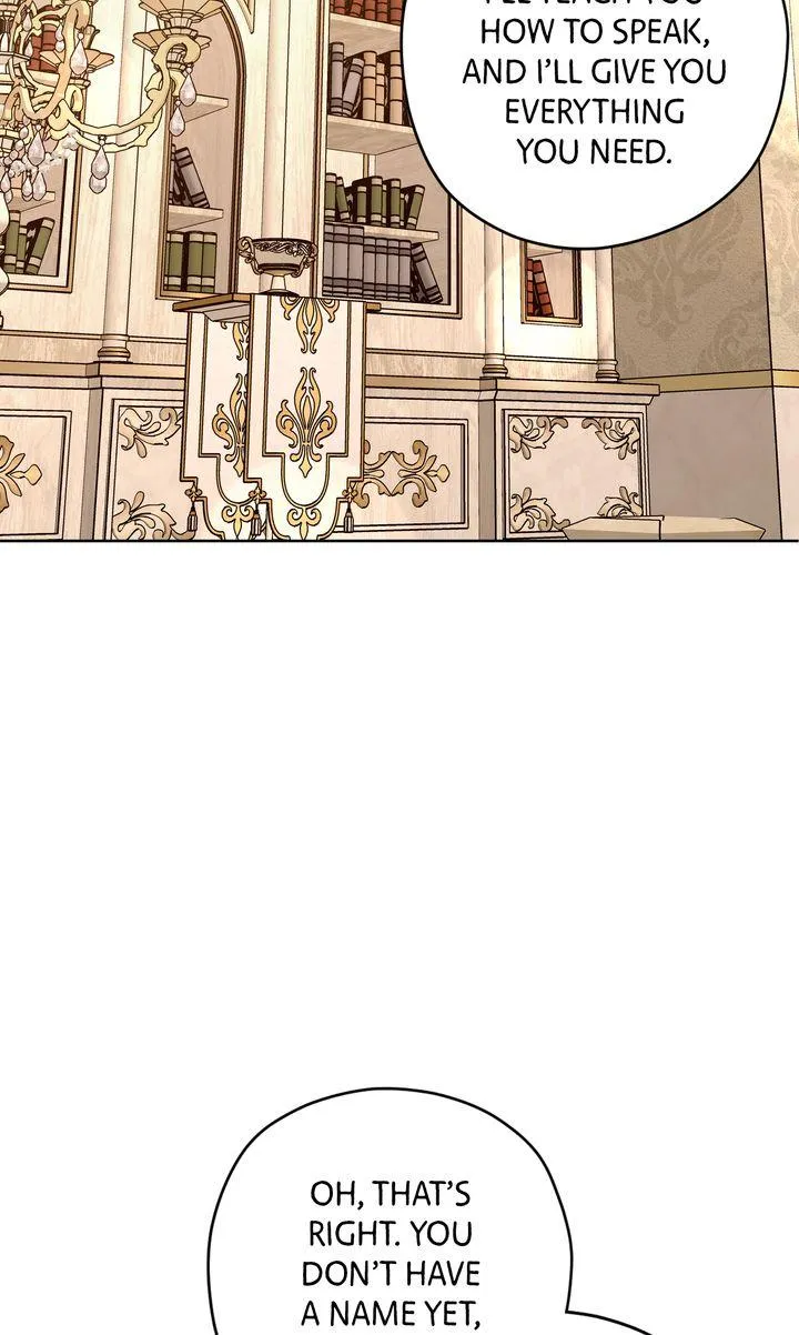 My Anonymous Benefactor Chapter 54 page 81 - 