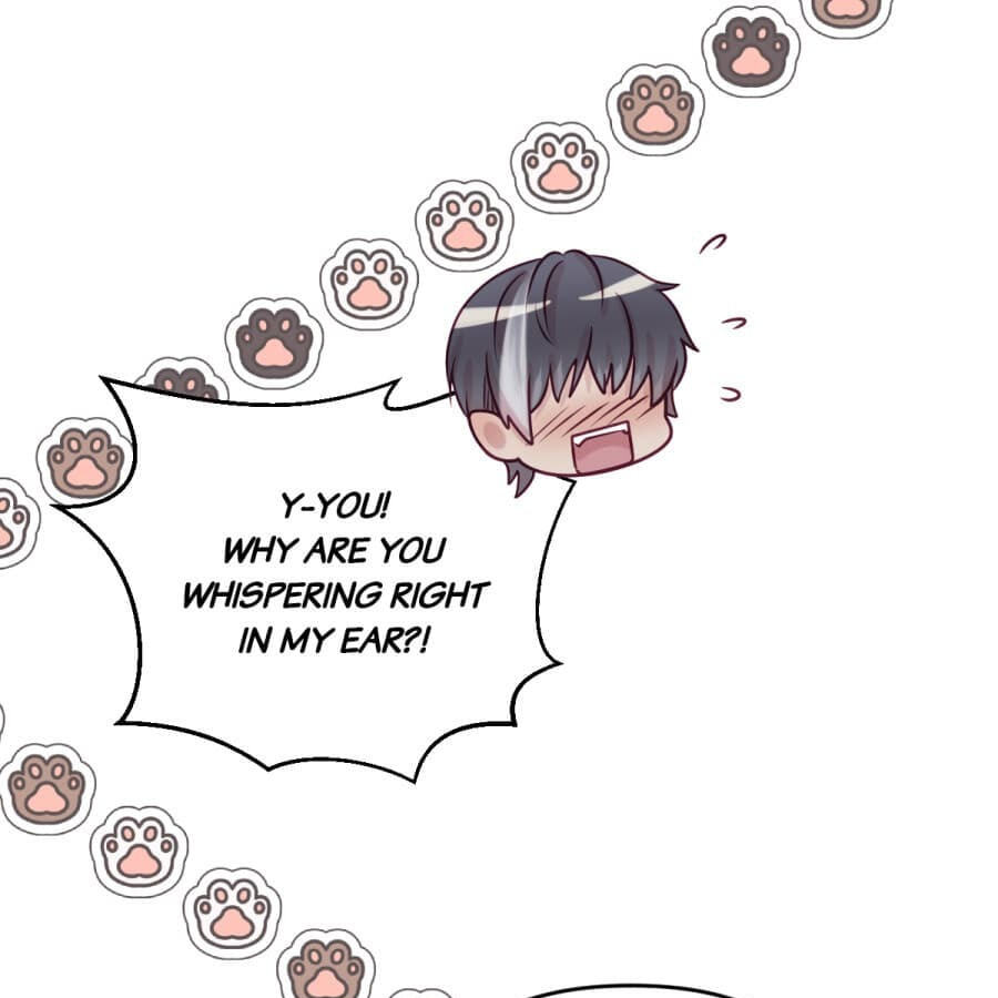 My Beast is an Idol?! Chapter 11.1 page 11 - 