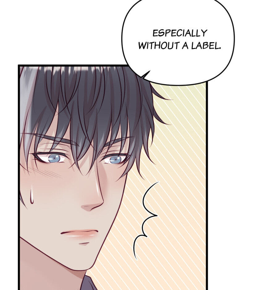 My Beast is an Idol?! Chapter 20.2 page 13 - 