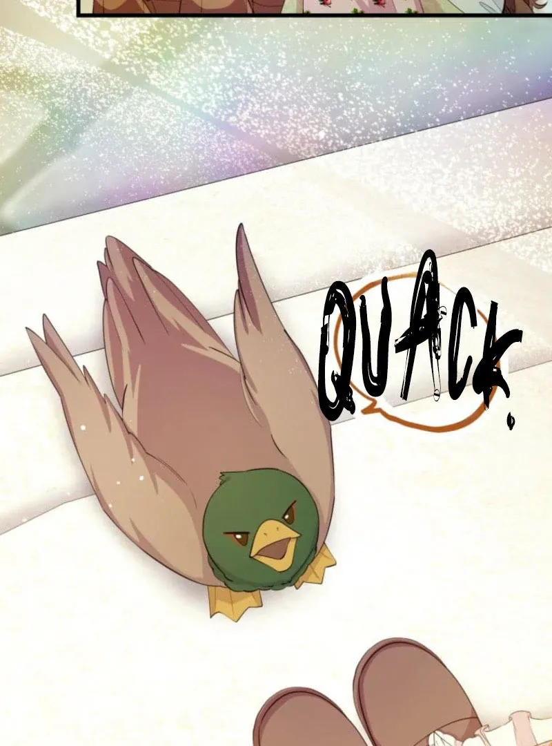My Beloved Duke, I Shall Kill You With All Due Chapter 17 page 39 - 