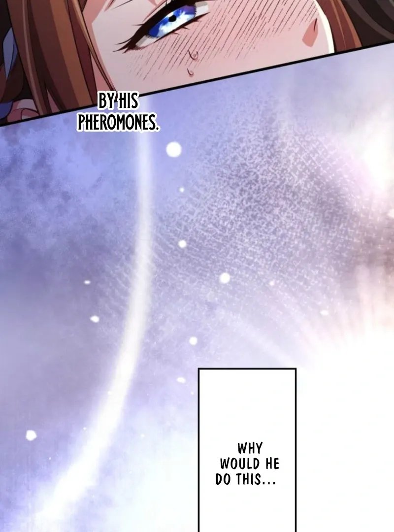 My Beloved Duke, I Shall Kill You With All Due Chapter 7 page 44 - 