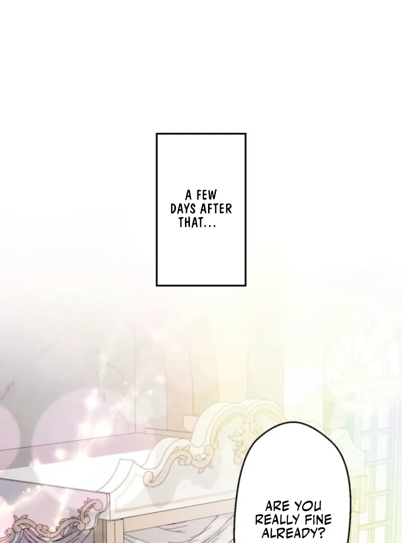 My Beloved Duke, I Shall Kill You With All Due Chapter 7 page 83 - 