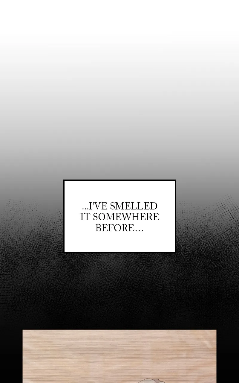 My Bias isObsessed with Me Chapter 8 page 25 - 