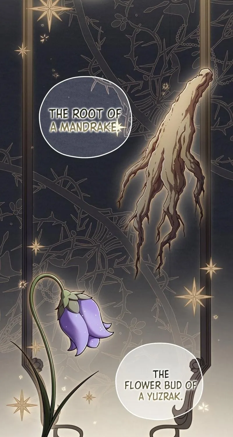 My Blasted Reincarnated Life Chapter 28 page 22 - 