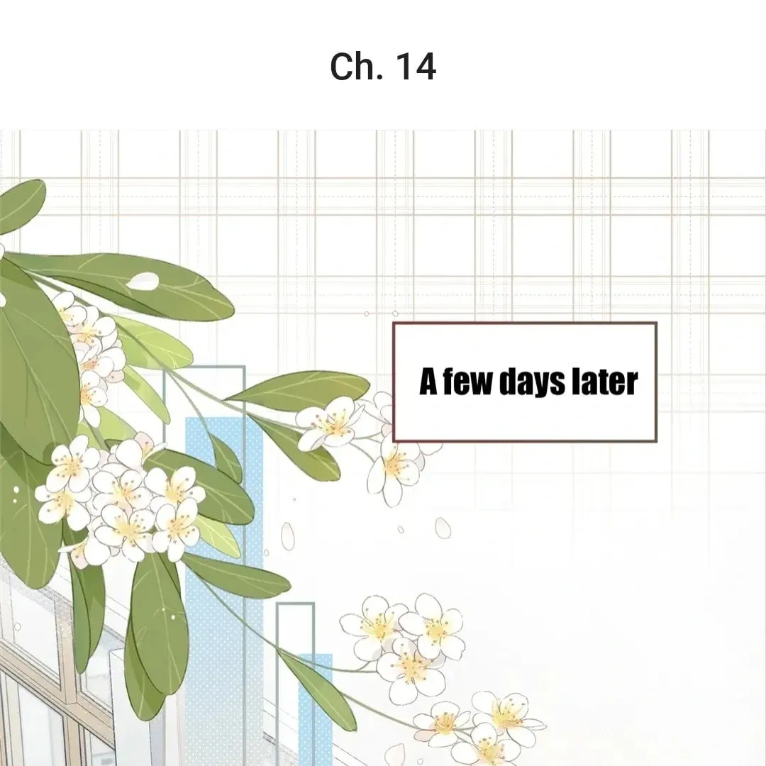 My Charm, Your Karma Chapter 14 page 2 - 