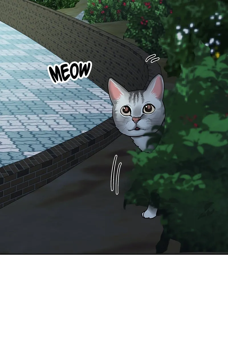 My Comeback as the Youngest Member Chapter 24 page 5 - 