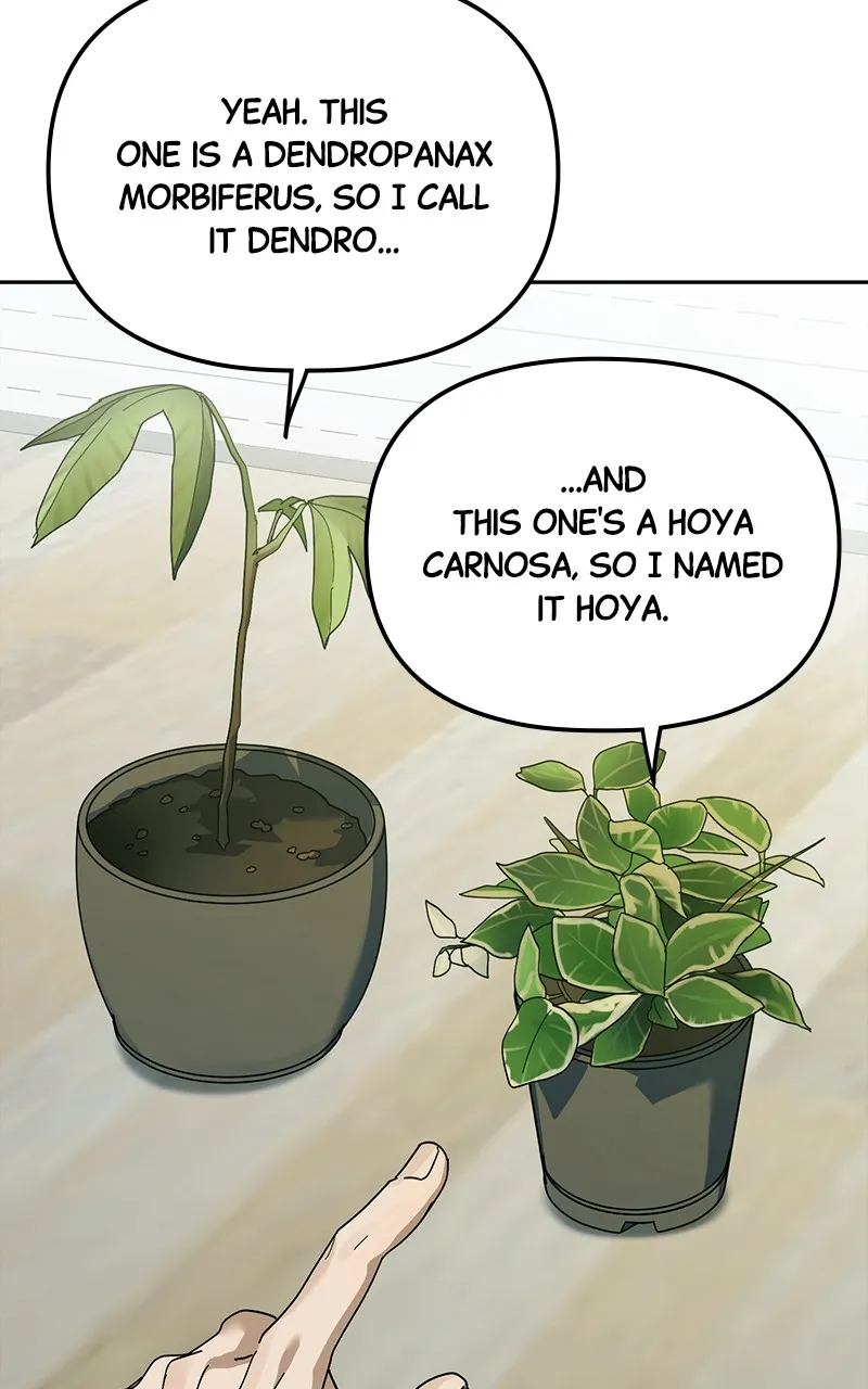 My Comeback as the Youngest Member Chapter 40 page 94 - 