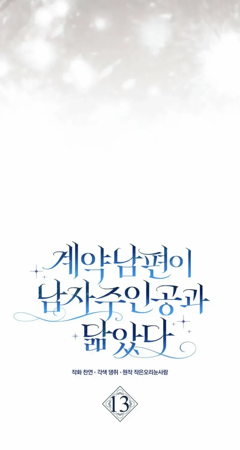 My Contract Husband Looks Like the Male Lead Chapter 13 page 19 - 