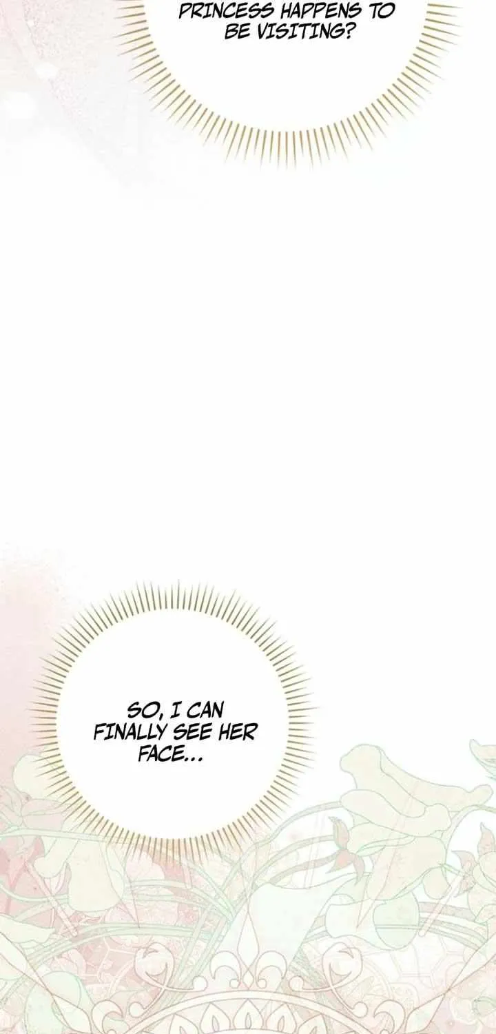 My Contract Husband Looks Like the Male Lead Chapter 19 page 24 - 