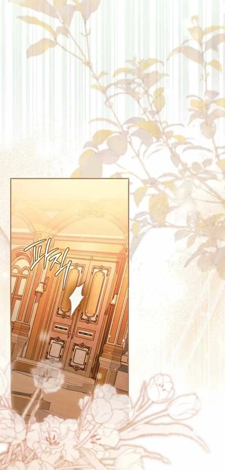 My Contract Husband Looks Like the Male Lead Chapter 19 page 67 - 