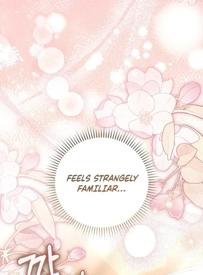 My Contract Husband Looks Like the Male Lead Chapter 22 page 141 - 