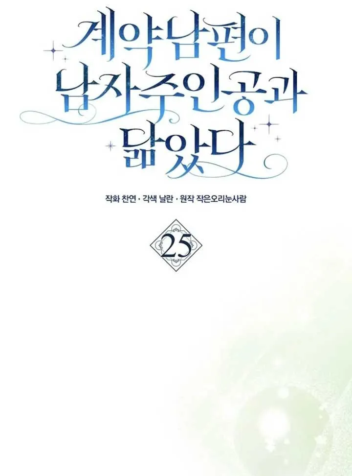 My Contract Husband Looks Like the Male Lead Chapter 25 page 27 - 