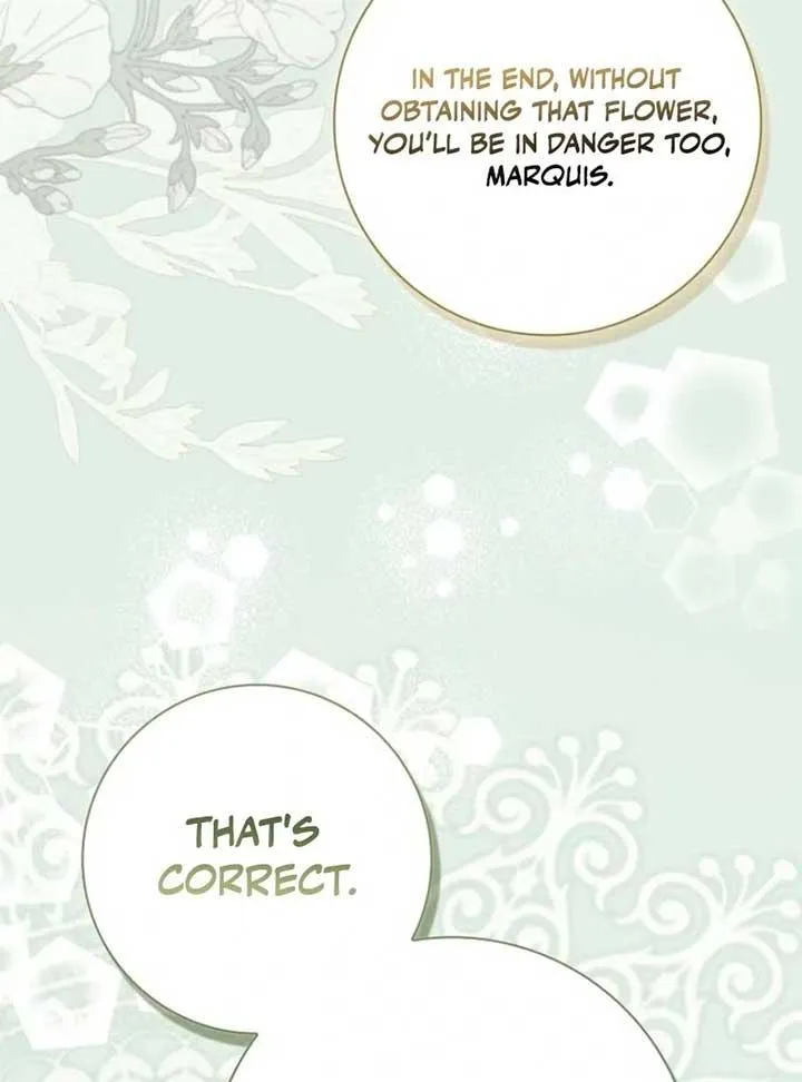 My Contract Husband Looks Like the Male Lead Chapter 25 page 81 - 