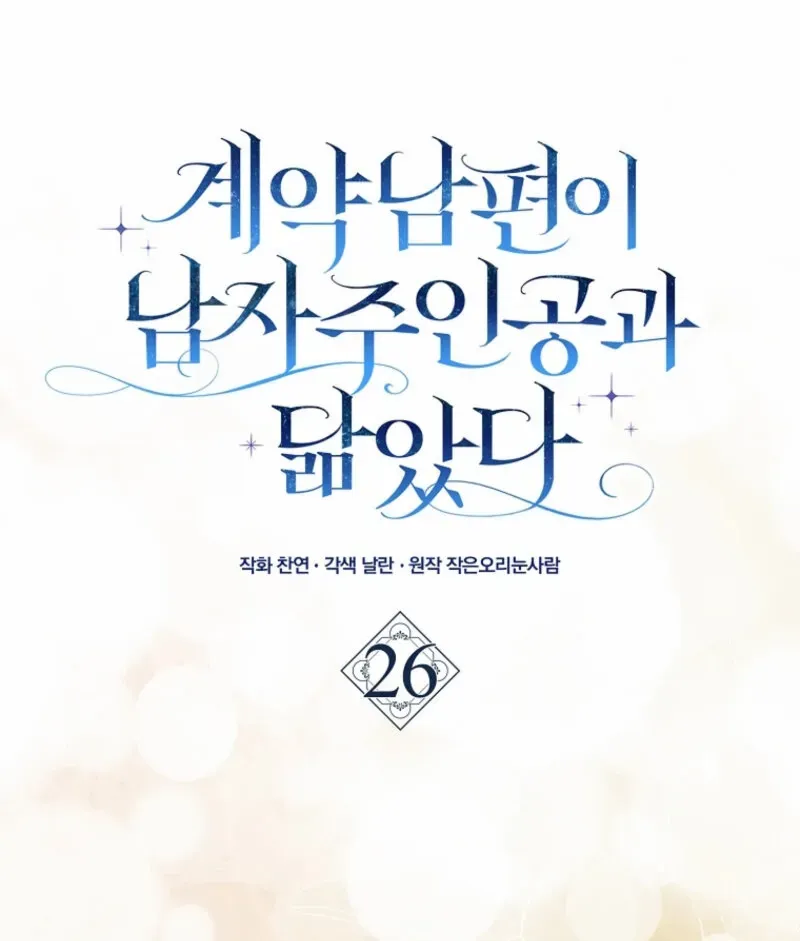 My Contract Husband Looks Like the Male Lead Chapter 26 page 29 - 