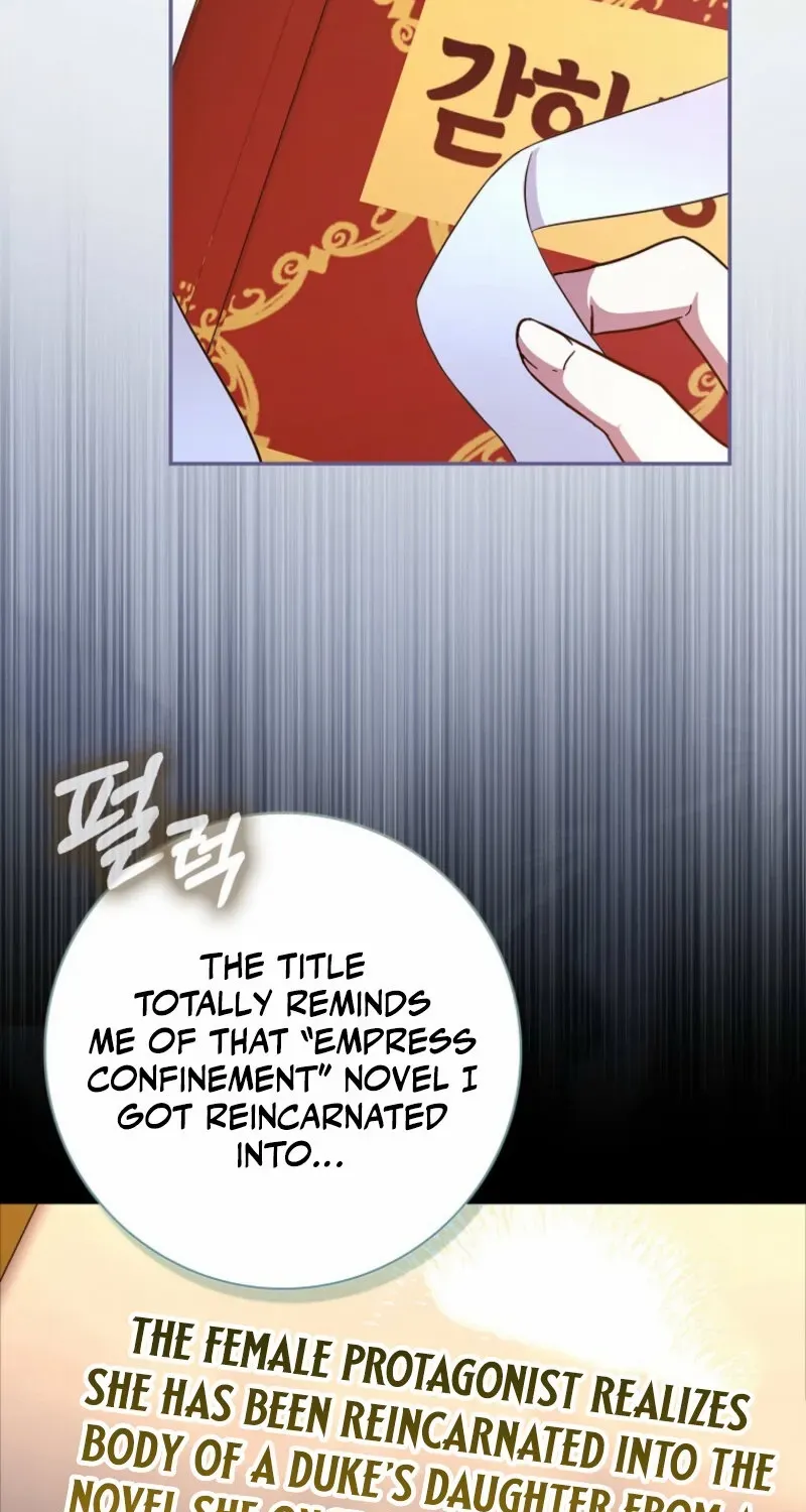 My Contract Husband Looks Like the Male Lead Chapter 27 page 108 - 