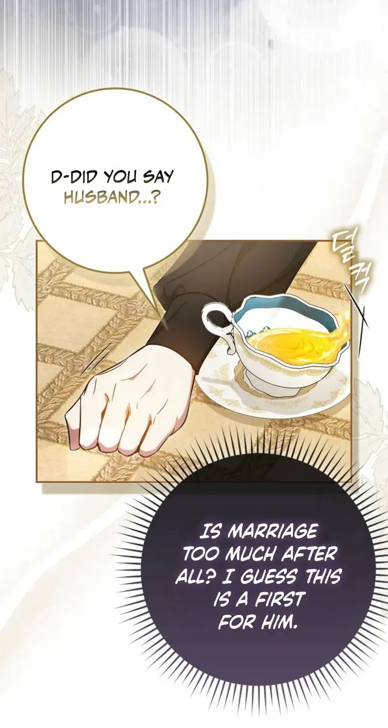 My Contract Husband Looks Like the Male Lead Chapter 3 page 18 - 