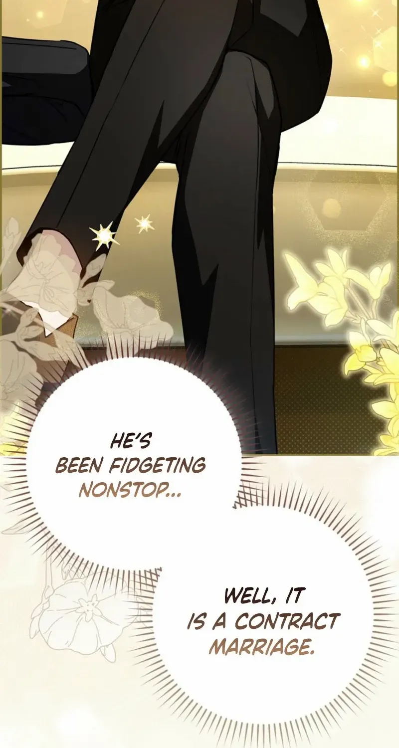 My Contract Husband Looks Like the Male Lead Chapter 3 page 47 - 