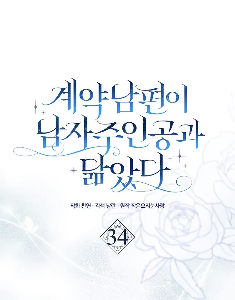 My Contract Husband Looks Like the Male Lead Chapter 34 page 29 - 