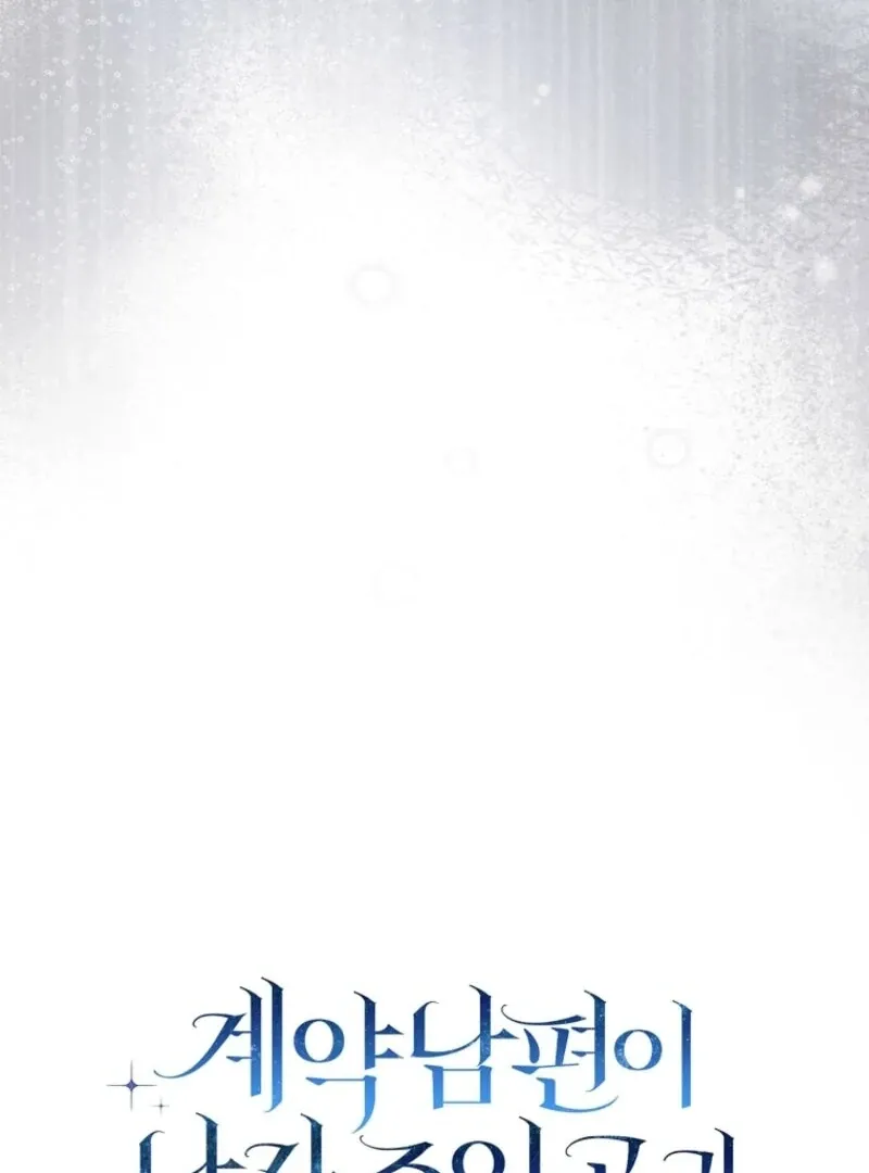 My Contract Husband Looks Like the Male Lead Chapter 40 page 62 - 