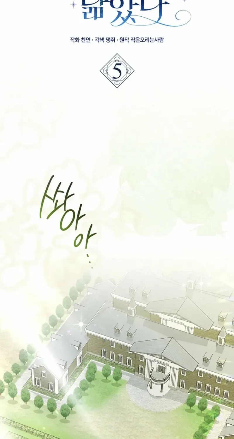My Contract Husband Looks Like the Male Lead Chapter 5 page 43 - 