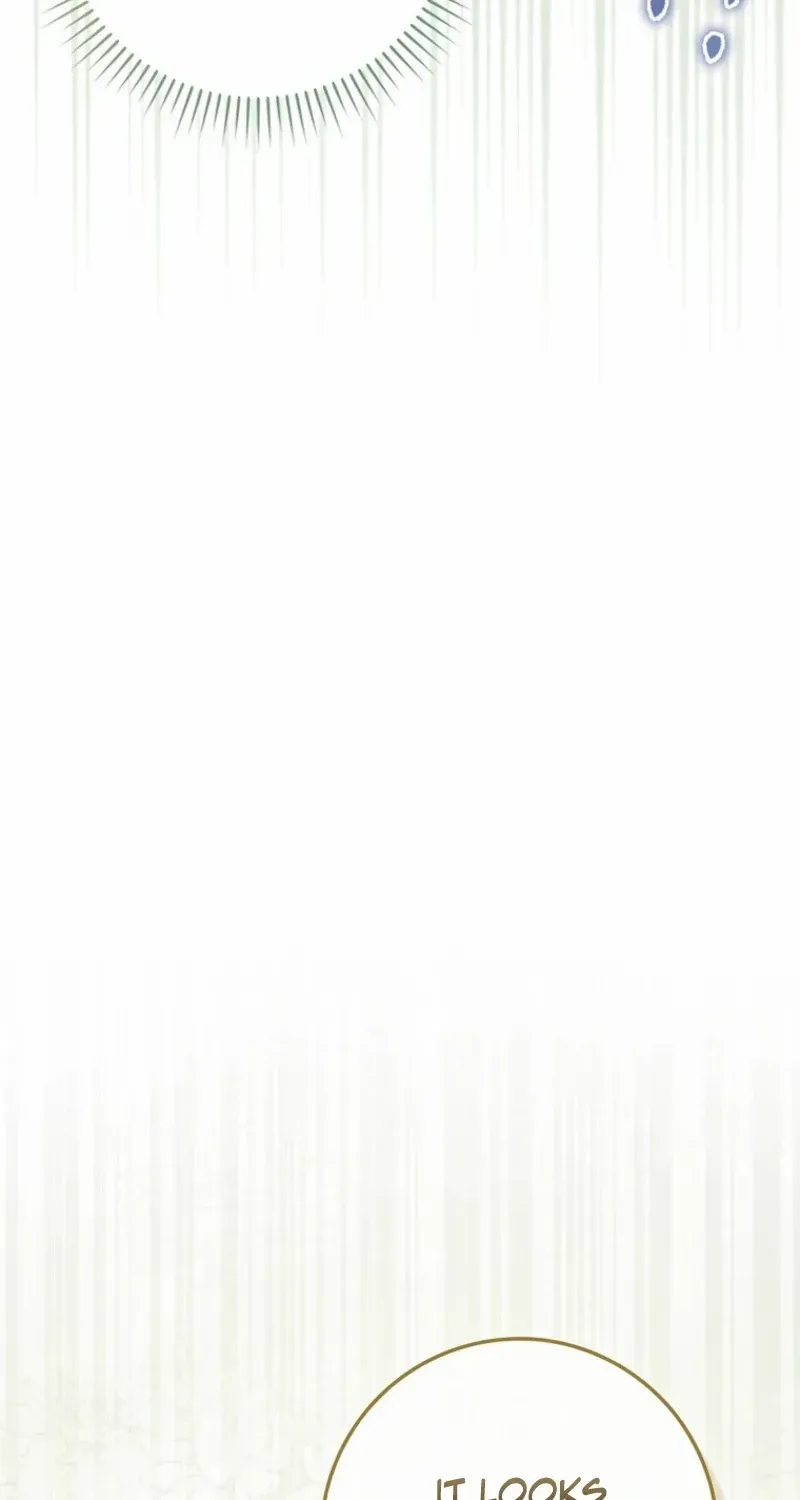 My Contract Husband Looks Like the Male Lead Chapter 7 page 77 - 