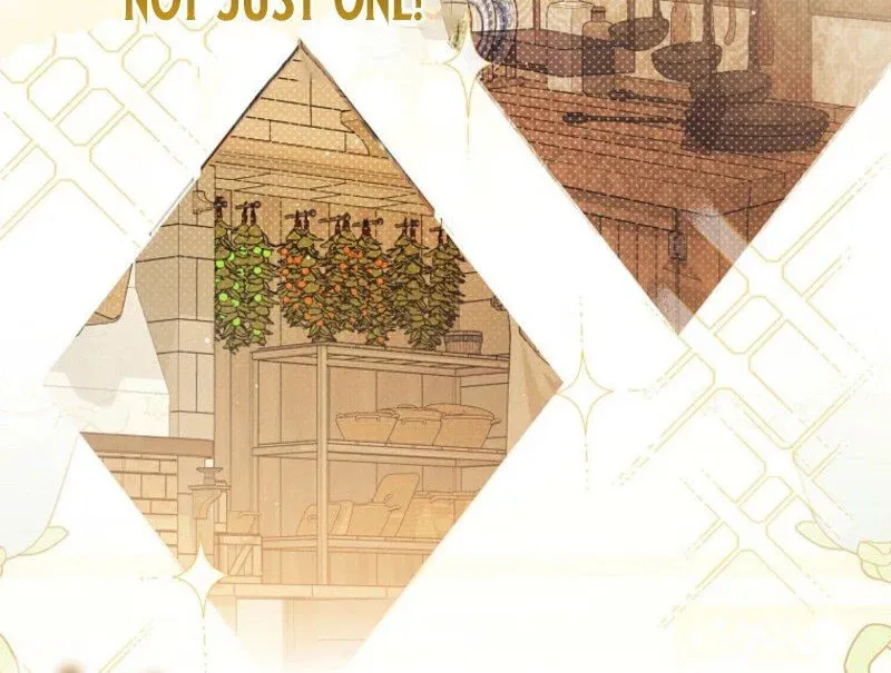 My Contract Husband Resembles the Male Protagonist Chapter 1 page 84 - 