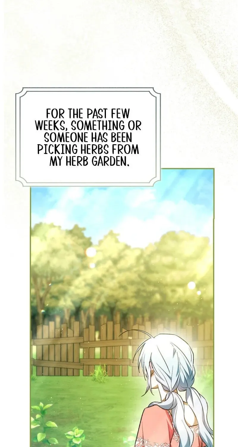 My Contract Husband Resembles the Male Protagonist Chapter 14 page 5 - 