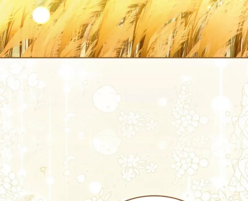 My Contract Husband Resembles the Male Protagonist Chapter 15 page 51 - 