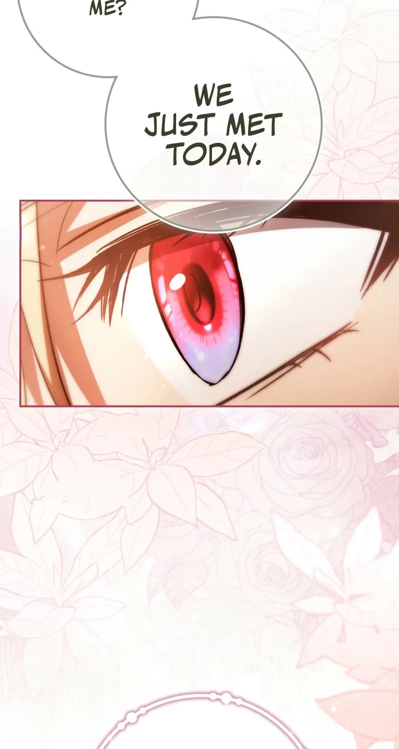My Contract Husband Resembles the Male Protagonist Chapter 17 page 67 - 