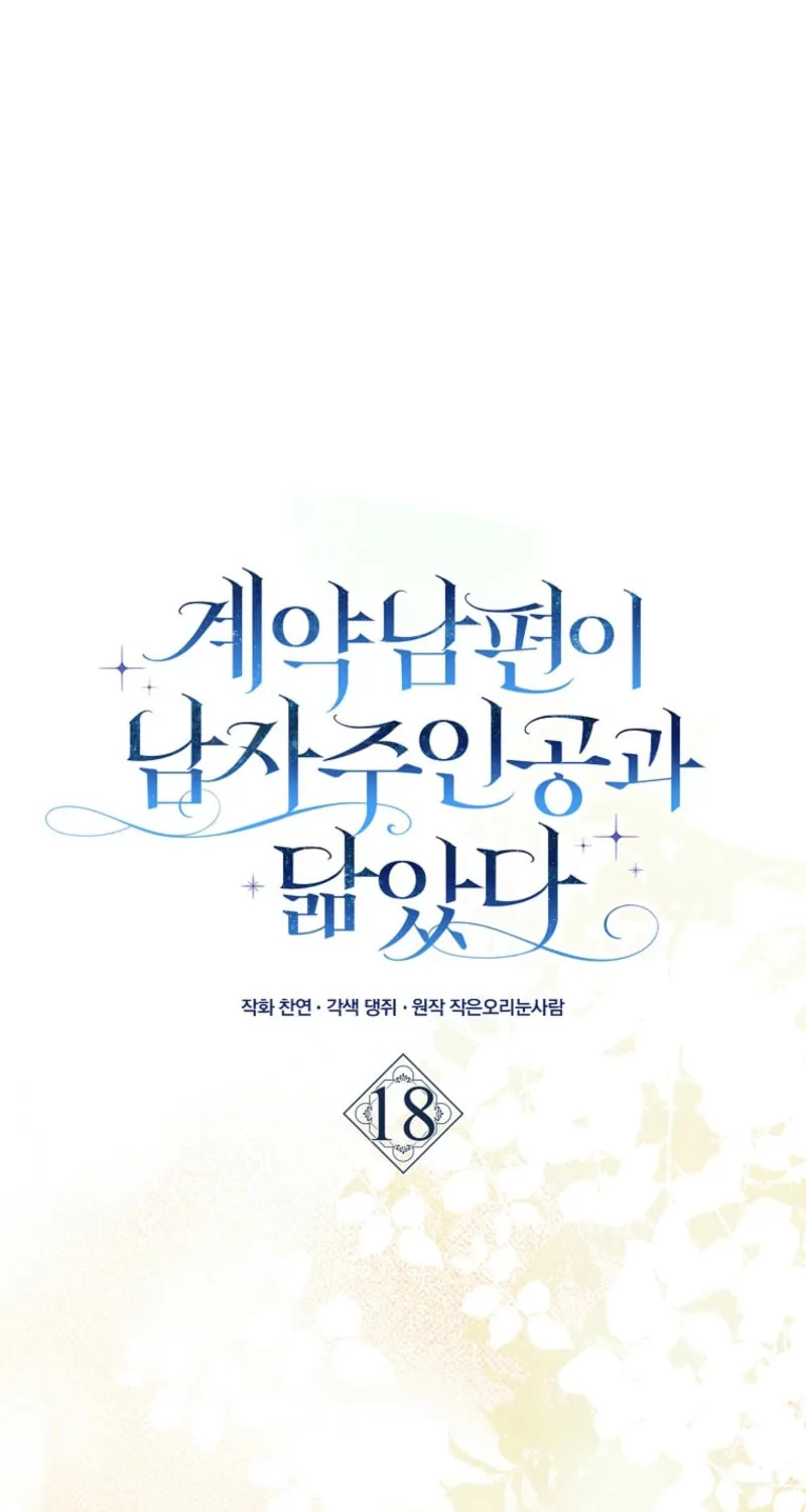 My Contract Husband Resembles the Male Protagonist Chapter 18 page 29 - 