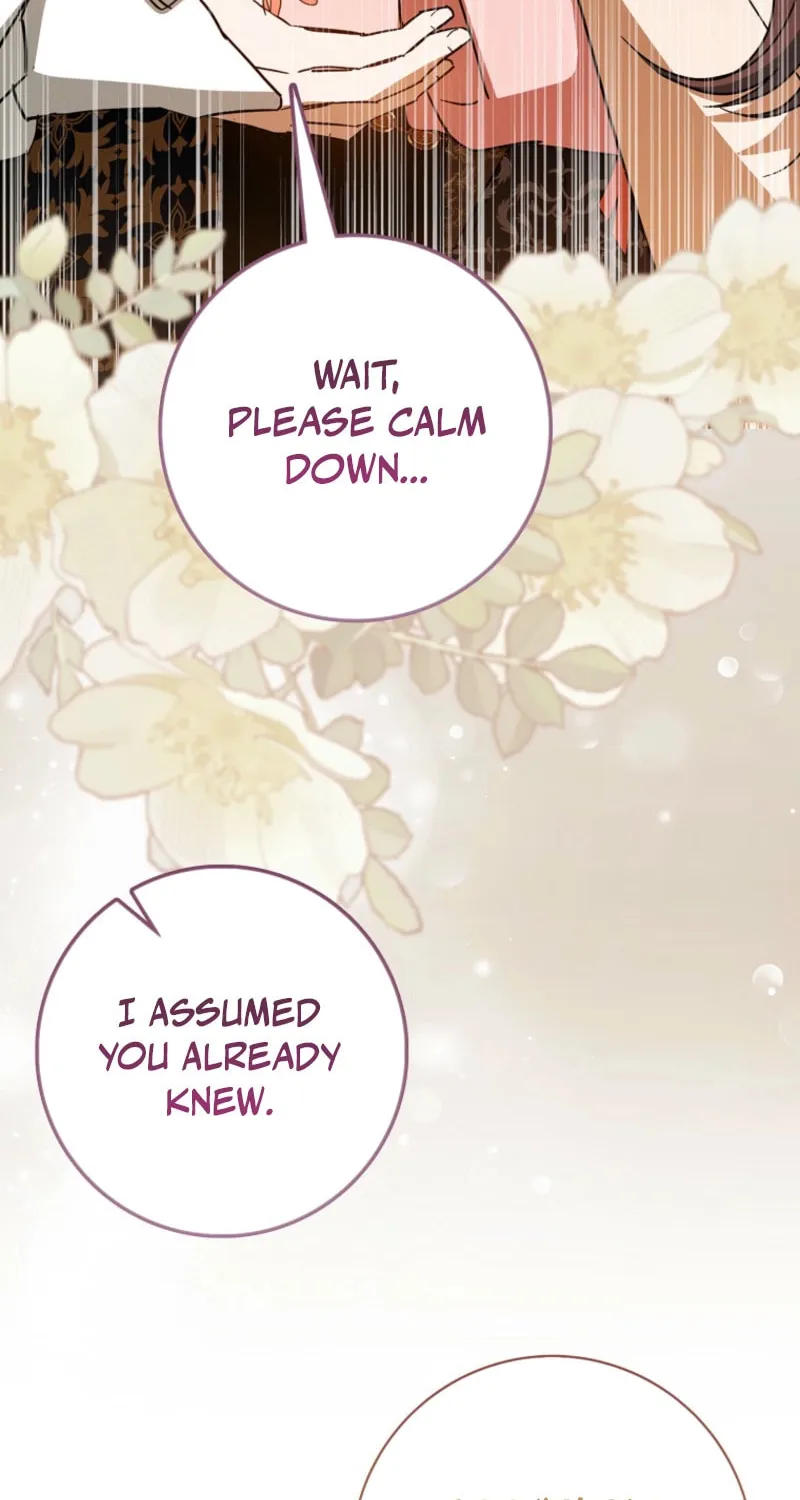 My Contract Husband Resembles the Male Protagonist Chapter 19 page 112 - 
