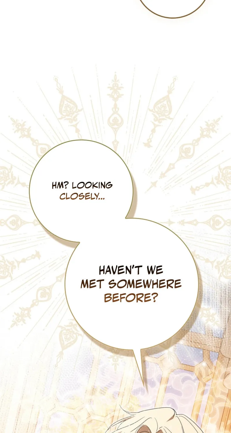 My Contract Husband Resembles the Male Protagonist Chapter 19 page 67 - 
