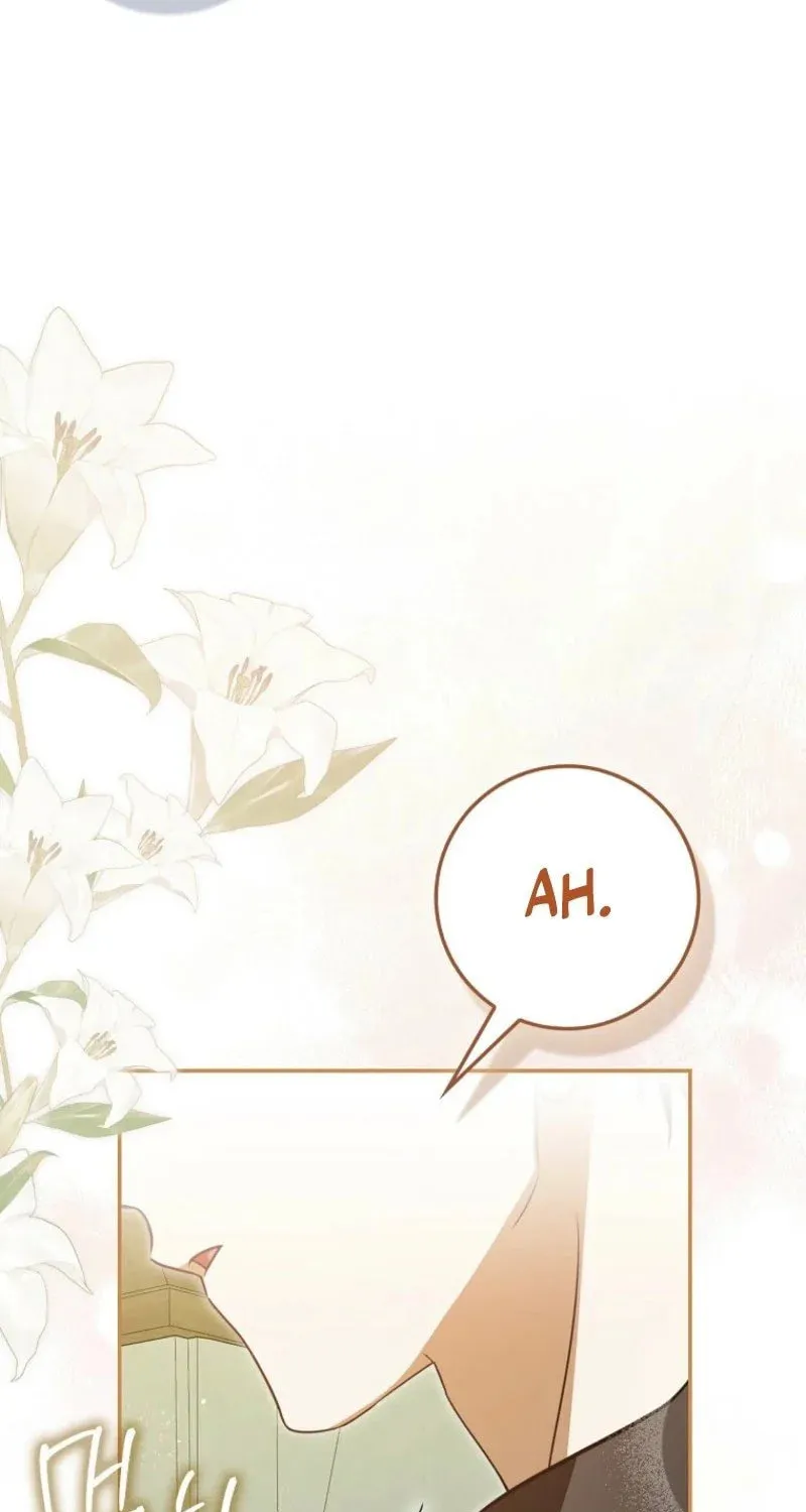 My Contract Husband Resembles the Male Protagonist Chapter 2 page 65 - 