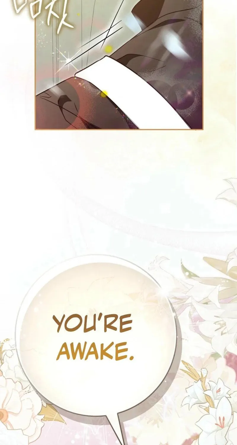 My Contract Husband Resembles the Male Protagonist Chapter 2 page 66 - 