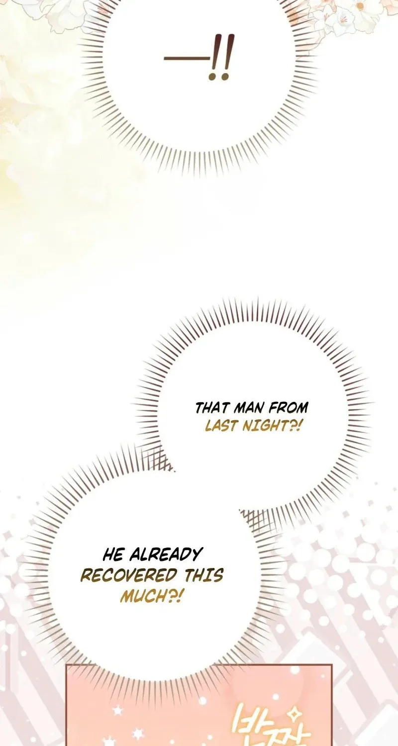 My Contract Husband Resembles the Male Protagonist Chapter 2 page 69 - 