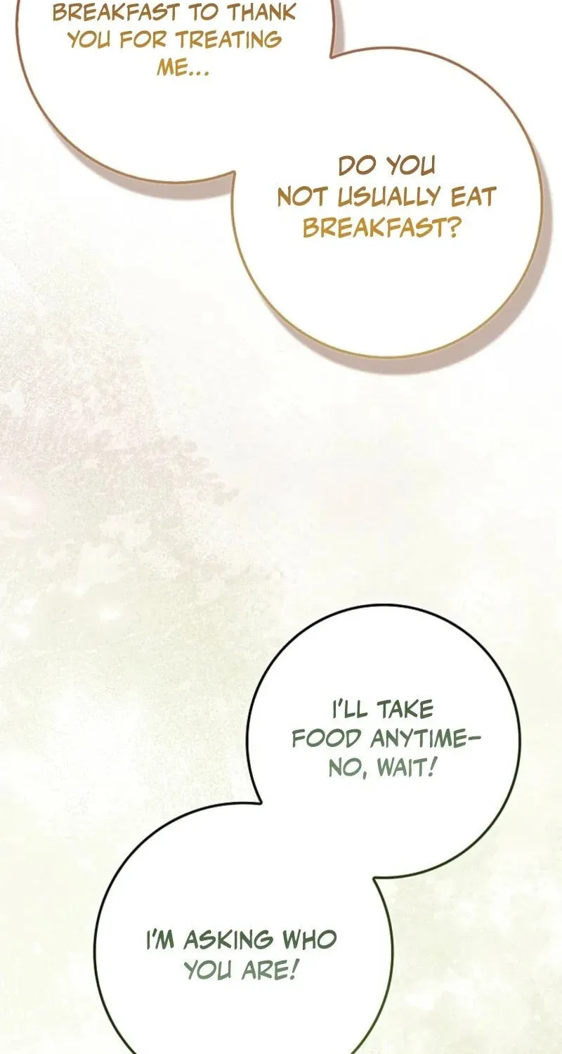 My Contract Husband Resembles the Male Protagonist Chapter 2 page 72 - 