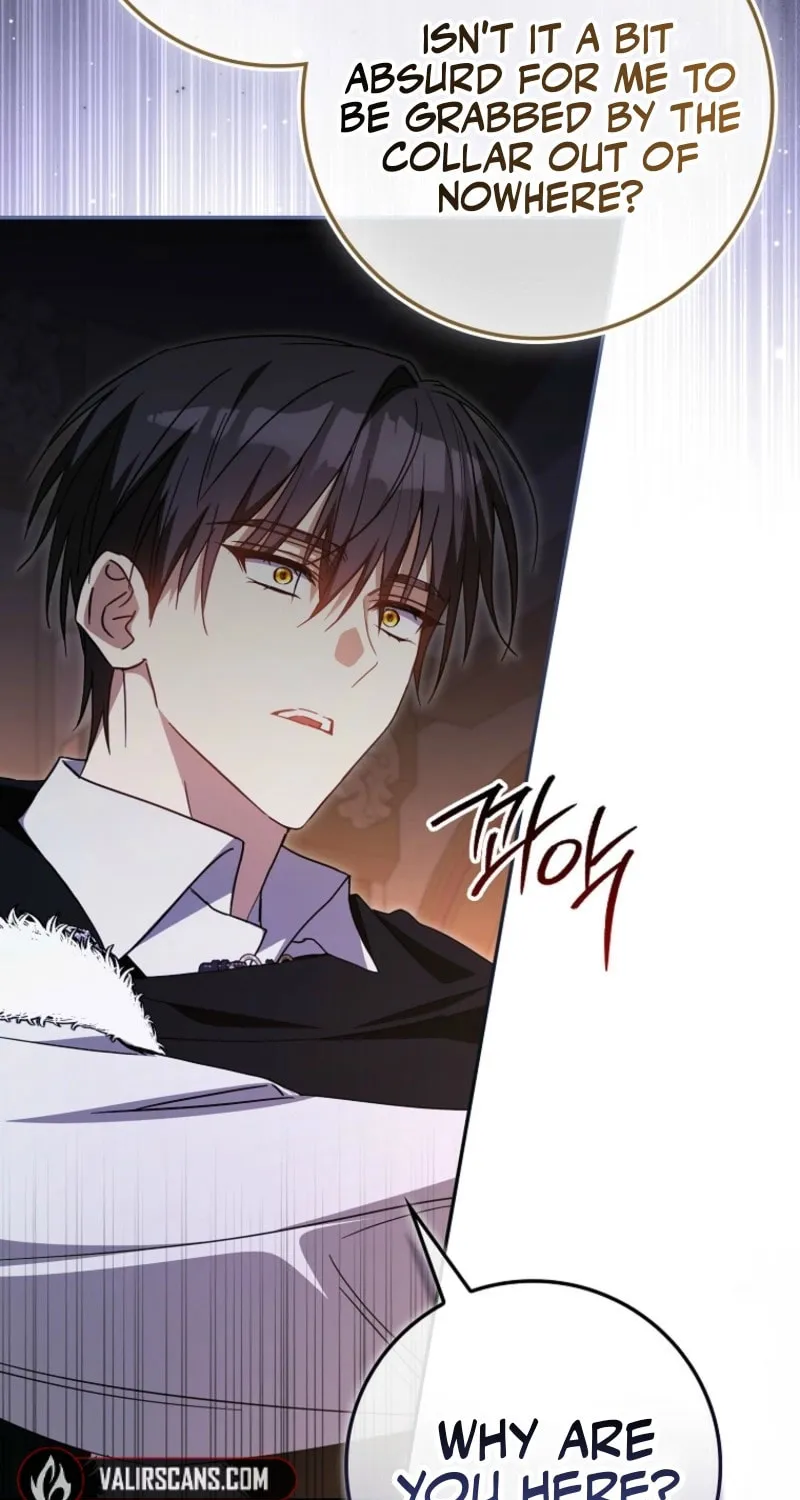 My Contract Husband Resembles the Male Protagonist Chapter 20 page 13 - 