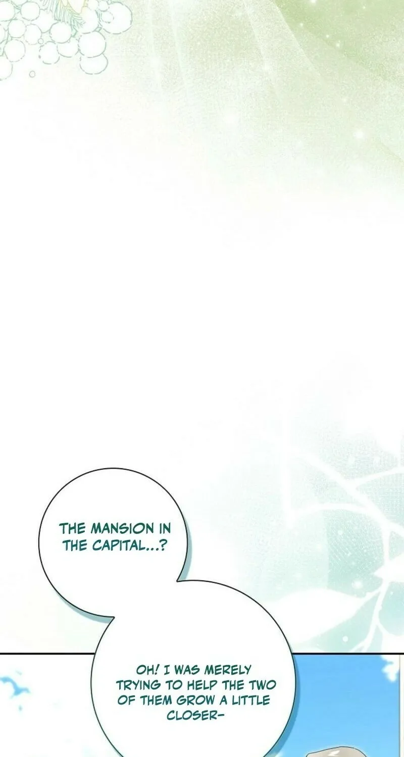 My Contract Husband Resembles the Male Protagonist Chapter 24 page 71 - 