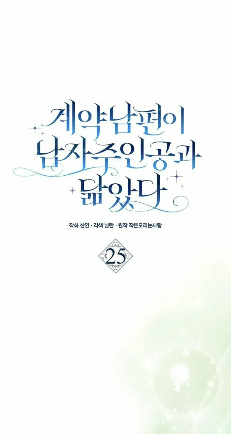 My Contract Husband Resembles the Male Protagonist Chapter 25 page 19 - 