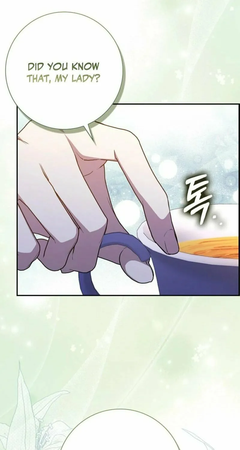 My Contract Husband Resembles the Male Protagonist Chapter 25 page 20 - 