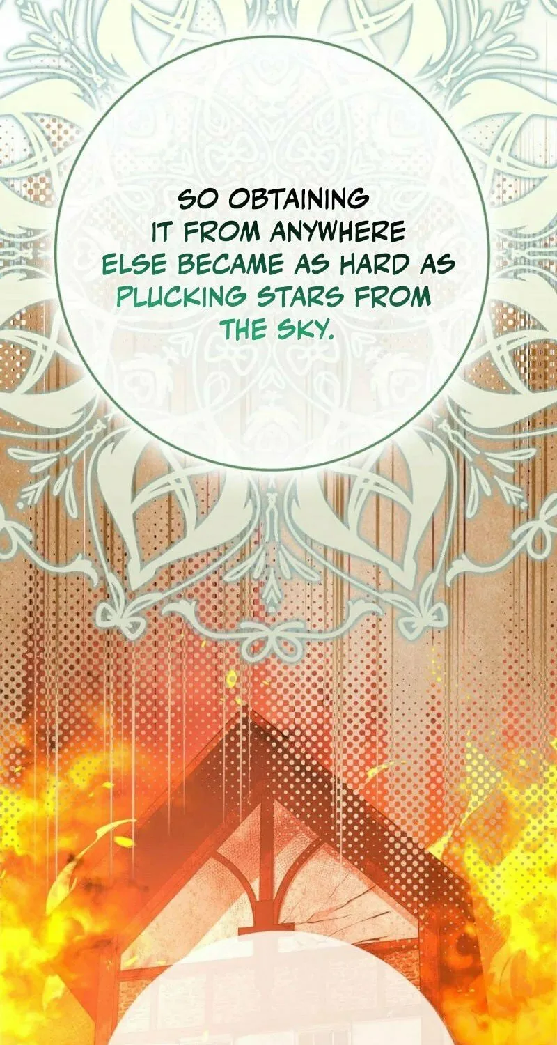 My Contract Husband Resembles the Male Protagonist Chapter 25 page 54 - 